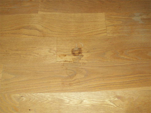 Plymouth Wood Flooring Speialist