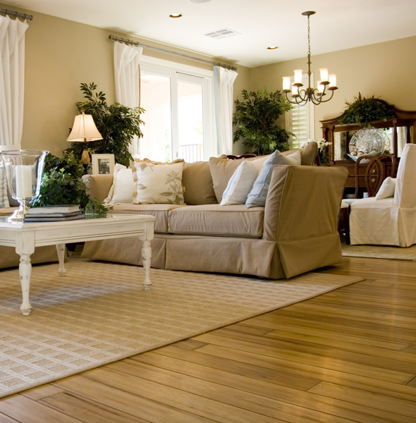 Wood Flooring Plymouth & South West