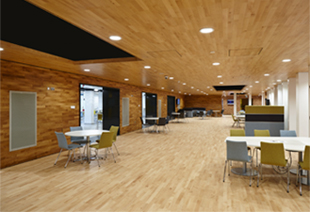 Wood Floor Specialist Exeter